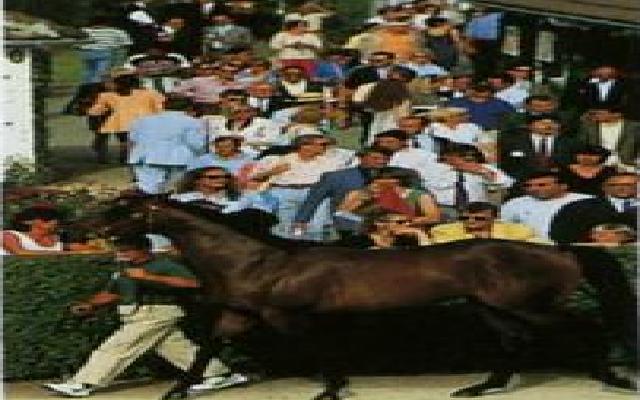 cheval